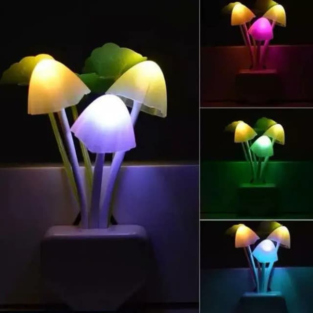 Mushrooms Night Light